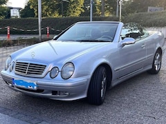 Bild des Angebotes Mercedes-Benz CLK 230 CLK-Klasse Cabrio Kompressor Elegance