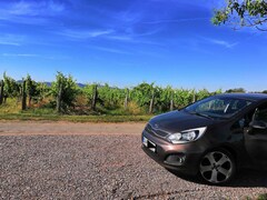 Bild des Angebotes Kia Rio Rio 1.4 Spirit