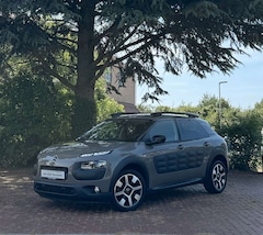 Bild des Angebotes Citroen C4 Cactus Shine|LED TFL|PDC|Kamera|Navi|touch!