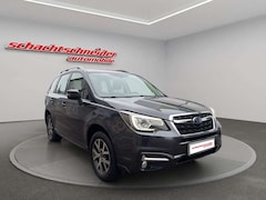 Bild des Angebotes Subaru Forester 2.0X Exclusive+Leder+AHZV+Allwetter+