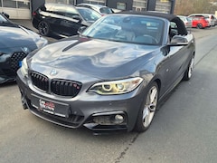 Bild des Angebotes BMW 220 iA Cabrio M Sport Technik/AHK/Garantie/