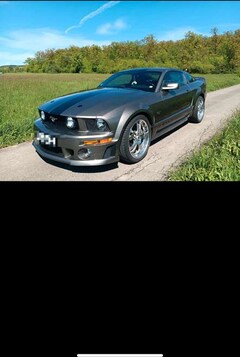 Bild des Angebotes Ford Mustang GT ROUSH