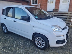 Bild des Angebotes Fiat Panda Panda 1.2 Easy-Top Zustand