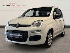 Bild des Angebotes Fiat Panda 1.2 8V Easy +PDC