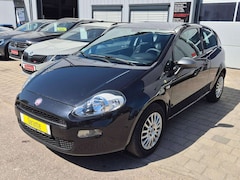 Bild des Angebotes Fiat Punto Young