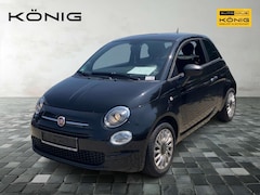 Bild des Angebotes Fiat 500 1.0 GSE Klima & Sound