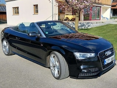 Bild des Angebotes Audi Cabriolet A5 TDI 3.0 Cabrio S-Line