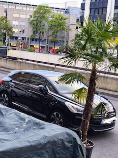 Bild des Angebotes Citroen DS5 BlueHDi 180 Aut. SportChic