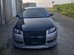 Bild des Angebotes Audi A3 8P 1.6 Ambiente