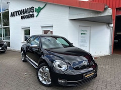 Bild des Angebotes VW Beetle Lim. Fender Edition/AUT/NAVI/SHZ/TEMP/S+W