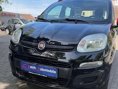 Bild des Angebotes Fiat Panda Panda/Pandina 1.2 Mystyle, Scheckheftgepflegt.
