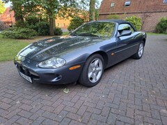 Bild des Angebotes Jaguar XK8 Cabriolet