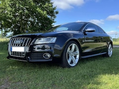 Bild des Angebotes Audi S5 Coupe 4.2 ACC/Standheizung/B&O/8xReif/MMI+/MagRide