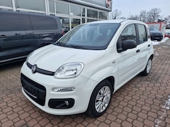Bild des Angebotes Fiat Panda LPG Autogas