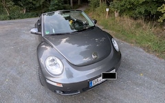 Bild des Angebotes VW New Beetle New Beetle Cabriolet 1.4 Freestyle