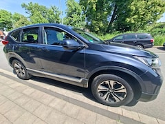 Bild des Angebotes Honda CR-V CR-V 1.5T 2WD Comfort