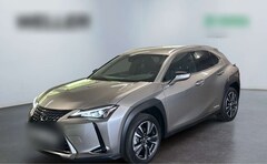 Bild des Angebotes Lexus UX 250h Style Edition Bi-LED*ACC*CAM*SHZ*CarPlay