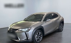 Bild des Angebotes Lexus UX 250h Style Edition Bi-LED*ACC*CAM*SHZ*CarPlay