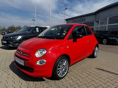 Bild des Angebotes Fiat 500 Cult Mild Hybrid 27.837 KM/SR auf Alu neu