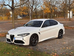 Bild des Angebotes Alfa Romeo Giulia Giulia 2.9 V6 Bi-Turbo AT8 Quadrifoglio