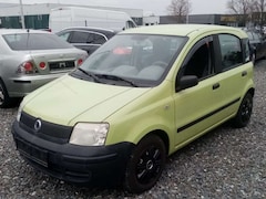 Bild des Angebotes Fiat Panda 1.1 8V Active*5TRG*SR+WR*