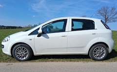 Bild des Angebotes Fiat Punto Evo 1.2 TÜV Bremsen Reifen NEU Klima Sitzheizung