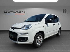 Bild des Angebotes Fiat Panda 1.2 More mit Klima