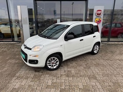 Bild des Angebotes Fiat Panda 1.2 Easy Sondermodell More - Viele Extras
