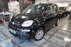 Bild des Angebotes Fiat Panda Easy/Klimaanlage/Allwetter/Radio/