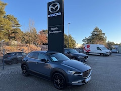 Bild des Angebotes Mazda CX-30 2.0 186 PS SKYACTIV-X HOMURA AWD Automatik
