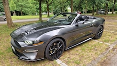 Bild des Angebotes Ford Mustang Ecoboost Cabrio   Winterangebot 10%  Rabatt