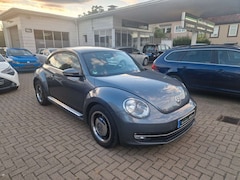 Bild des Angebotes VW Beetle Lim. Cup Klima PDC Sitzhzg. MFL