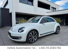 Bild des Angebotes VW Beetle Lim. Sport*TEMPO/PANO/LEDER/KLIMA*
