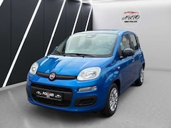 Bild des Angebotes Fiat Panda 1.0 Mild Hybrid Pandina Klima Sondermodell