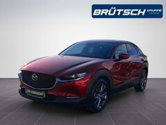 Bild des Angebotes Mazda CX-30 Selection 2.0 2WD LEDER / E-SITZE / BOSE / MATRIX