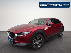 Bild des Angebotes Mazda CX-30 Selection 2.0 2WD LEDER / E-SITZE / BOSE / MATRIX
