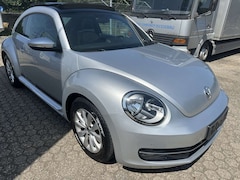 Bild des Angebotes VW Beetle Design