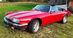 Bild des Angebotes Jaguar XJS