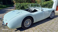 Bild des Angebotes Austin-Healey 100