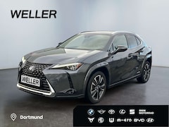 Bild des Angebotes Lexus UX 250h (E-FOUR) Luxury Line*Matrix*360°*SHZ*PDC*