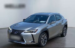 Bild des Angebotes Lexus UX 250h Luxury Line *360°*HUD*M Levinson*Memory*