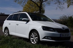 Bild des Angebotes Skoda Fabia Fabia Combi 1.0 TSI Style