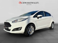 Bild des Angebotes Ford Fiesta Titanium Keyless Go Ambiente Navigation