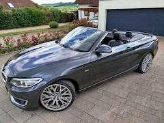 Bild des Angebotes BMW 228 228i Cabrio Aut. Luxury Line 19ZOLL