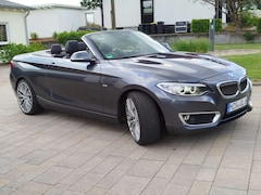 Bild des Angebotes BMW 228 228i Cabrio Aut. Luxury Line