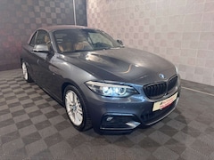 Bild des Angebotes BMW 230 i Cabrio*M SPORT*ACC-R.KAM-H&K-KLIMA-LED-SHZ