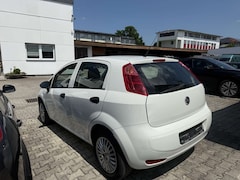 Bild des Angebotes Fiat Punto Basis