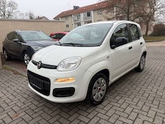Bild des Angebotes Fiat New Panda Pop Klima Servo Tüv Neu,Inspektion Neu ,Klima