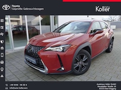 Bild des Angebotes Lexus UX 200 Launch Edition Navi LED SHZ Kamera Tempom