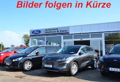 Bild des Angebotes Ford Fiesta Titanium*GJR*LED*WINTER-P*KEY-FREE*